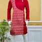 REGULAR WEAR PANJABI