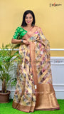 ORGANZA BANARASI